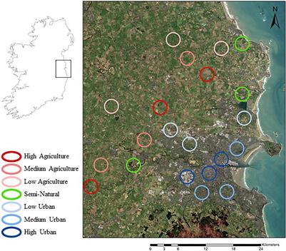 Anthropogenic Induced Beta Diversity in Plant–Pollinator Networks: Dissimilarity, Turnover, and Predictive Power